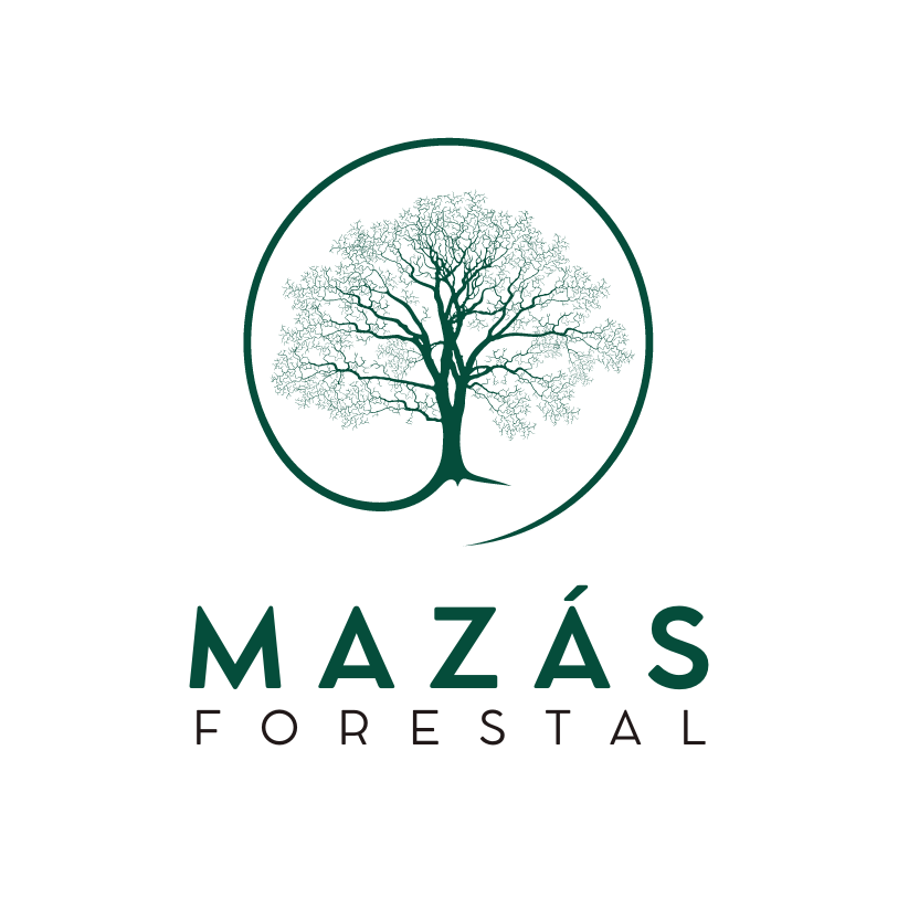 MAZÁS